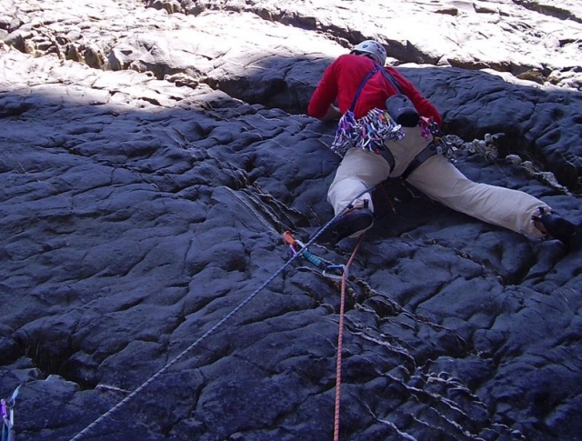  Tendrás que encontrar tus propias presas 